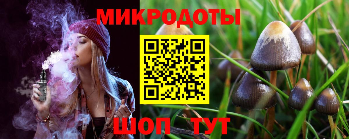 Мурино  Псилоцибиновые грибы мухоморы  купить наркоту  Вход с VPN 